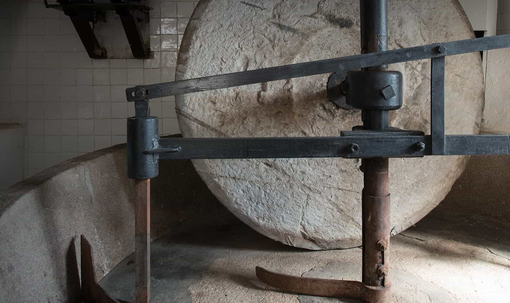 Aceite de oliva taggiasca italianas